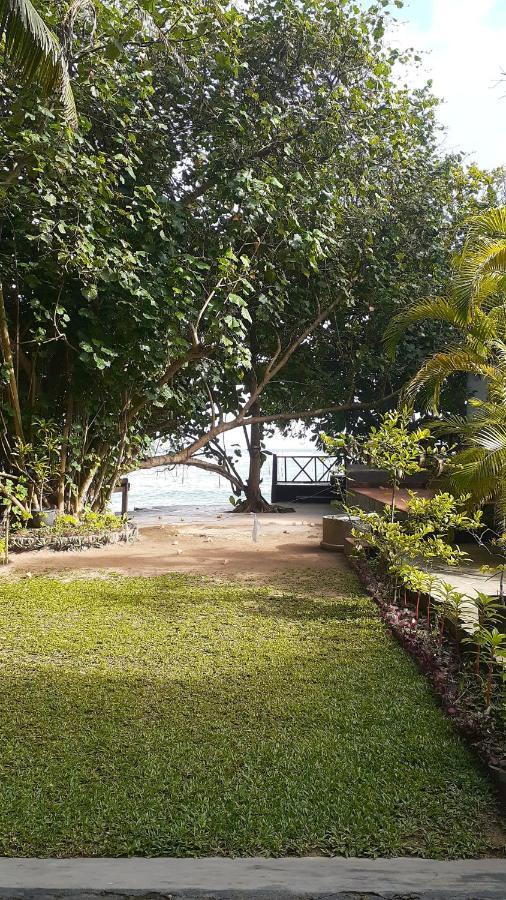 ホテル Beach Paradise マータラ エクステリア 写真