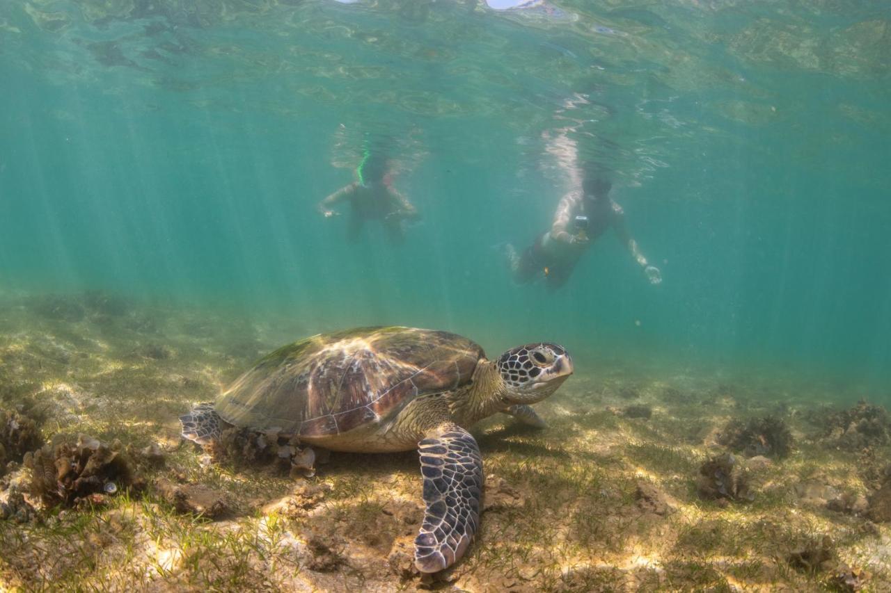 ホテル Beach Paradise マータラ エクステリア 写真