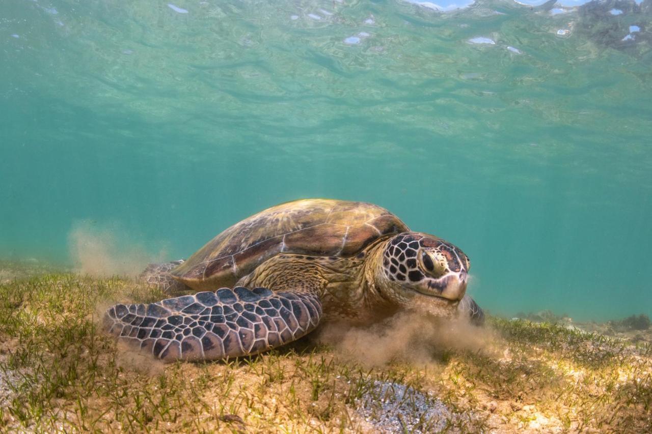 ホテル Beach Paradise マータラ エクステリア 写真