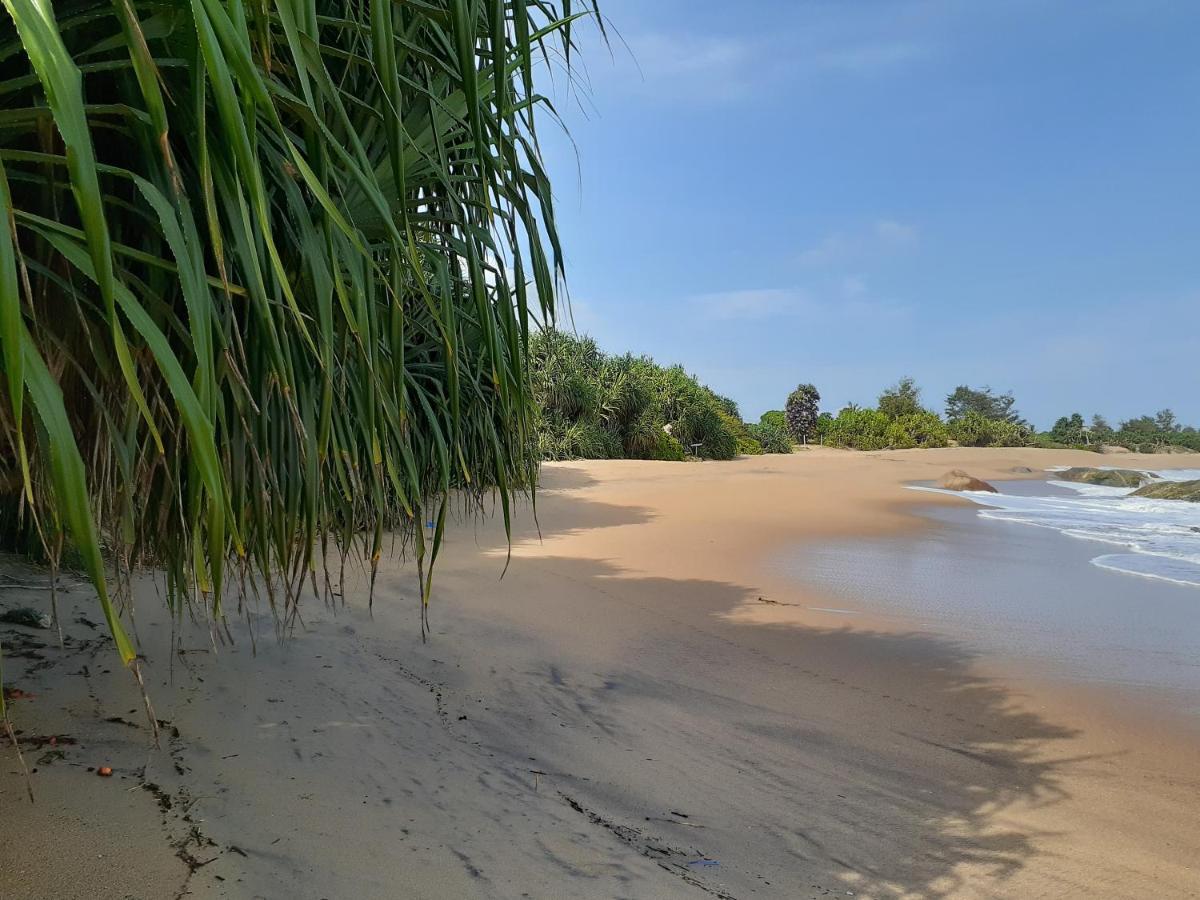 ホテル Beach Paradise マータラ エクステリア 写真